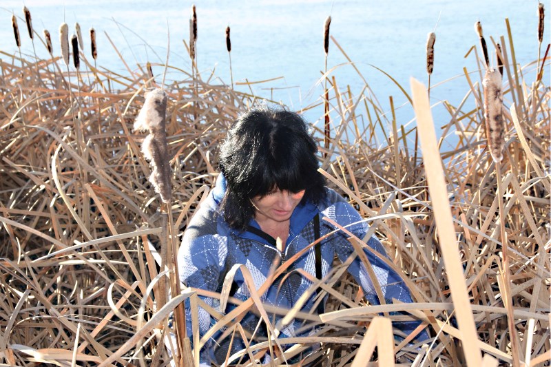 Chris Berg wades through cattails by Jessie Lake, searching for Corbiere or any clues.