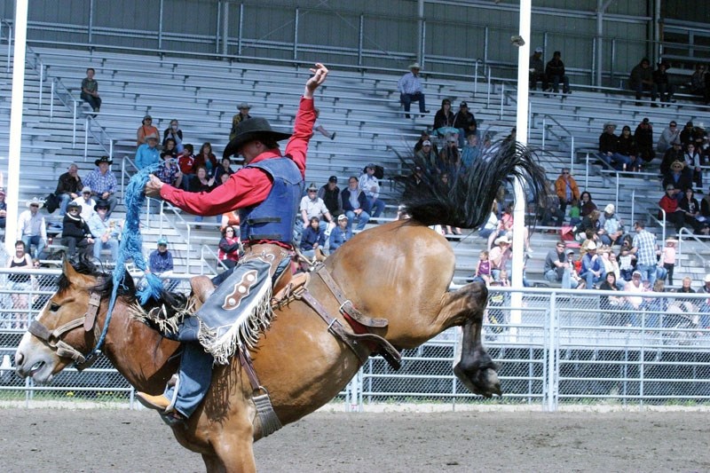 A cowboy clings to the back of his bucking bronc in the saddle bronc event.