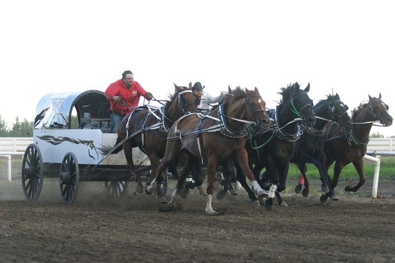 Horses churn up dust and dirt amidst perfect conditions on the opening night of Bonnyville&#8217;s fourth annual World Professional Chuckwagon races. The races were cut off