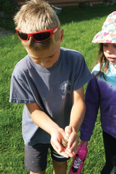 Léon Bourget and Mikayla Drover check out the frog they found hopping around the museum grounds this past Wednesday.
