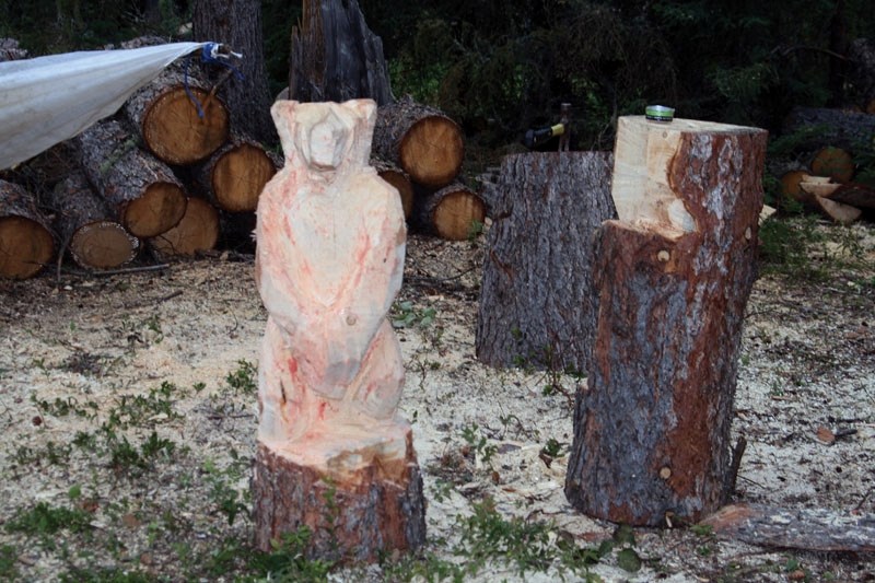 Pictured is one of the wooden bear carvings at the English Bay campground. Protesters carved the bears from the logs of fallen trees.