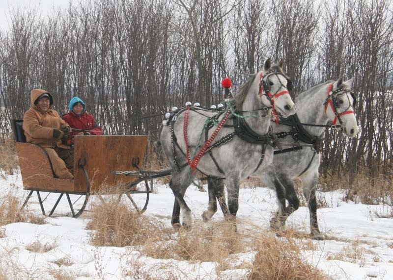 This two-person horse sleigh makes for a cozy ride during the poker rally at Kehewin on Feb. 25.