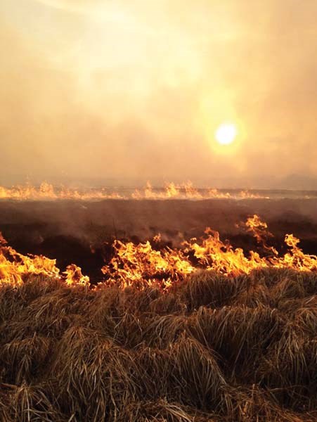 Fire tore through marshy fields northwest of Bonnyville on Sunday night.