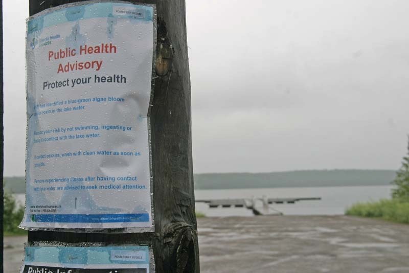 Moose Lake has been quiet since Alberta Health Services issued an advisory warning people of the presence of blue-green algae in the water,.