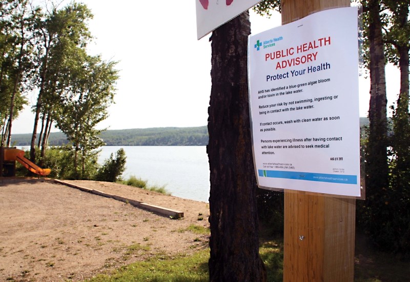 An AHS advisory sign about blue-green algae at Kehewin Lake. 