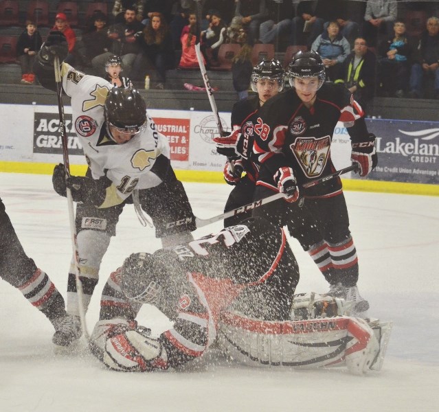 Pontiacs forward Shelby Kostyshen jams at the puck while Camrose goaltender Matthew Zentner attempts to cover it up. Bonnyville went on to defeat the Kodiaks 4-1 on Oct. 19.