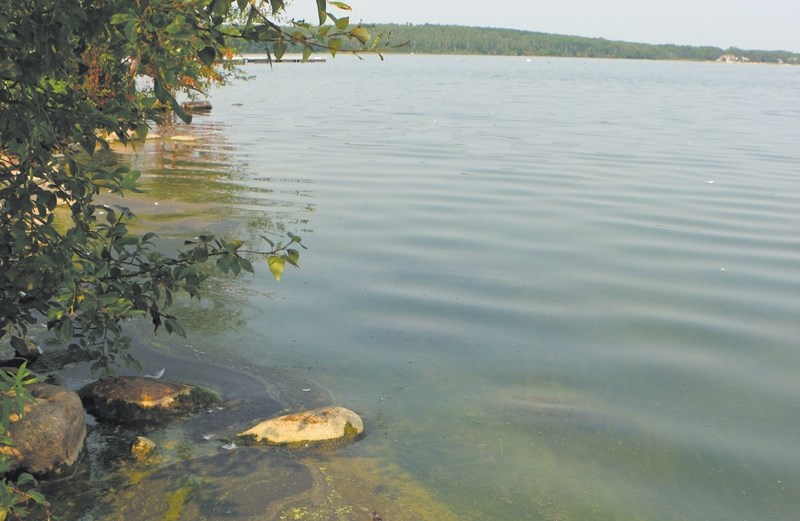 There is growing concern amongst local residents about the declining quality of Moose Lake.