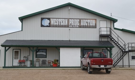 Western Pride Auction has eliminated their regular livestock sales.
