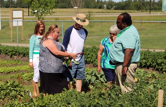 The Cold Lake Community Garden Society is already looking for seed sponsors and plot rentersd for this season.