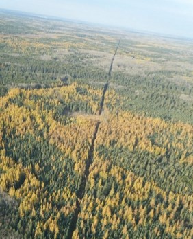 Cenovus will be treating old seismic lines (such as the one pictured) in an effort to better the caribou habitat around Foster Creek