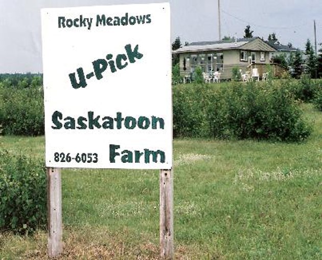 Rocky Meadows Country Get Away will be welcoming in visitors as a host for Open Farm Days. Muriel Creek Cattle Co. has also signed on as a host farm.