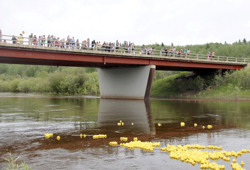 Ardmore School hosted its annual duck race on Sunday, June 4, with over 2,000 ducks racing to the finish line of the Beaver River.