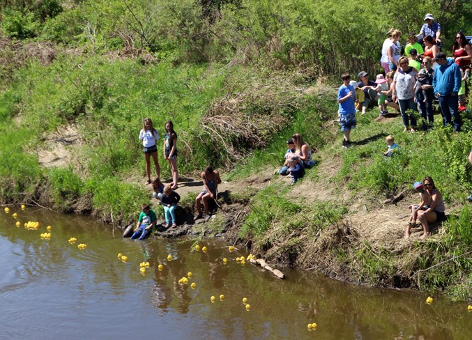  Families watch as the ducks race down the Beaver River.