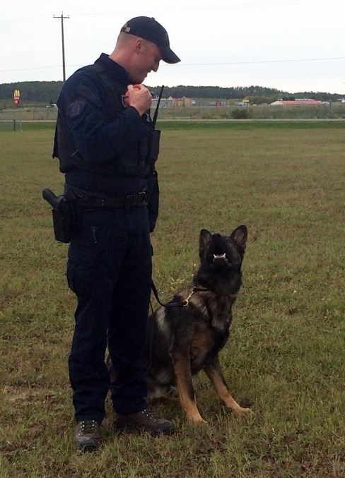  Cst. Jason Jaques and Harp have been working together since the beginning.