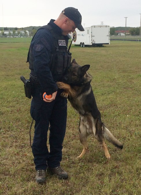  For over three months Cst. Jason Jaques and Harp have been tackling crime in the area.