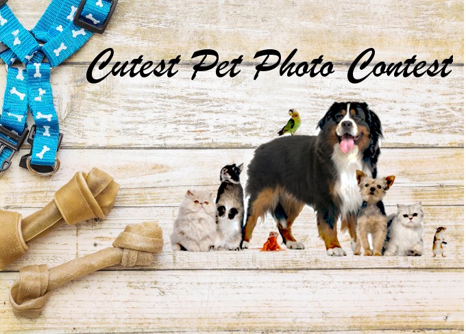 cutest-pet-photo-contest-main