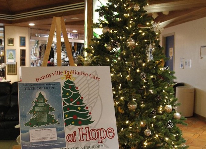 Tree of Hope