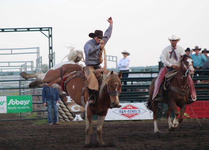 Rodeohorse