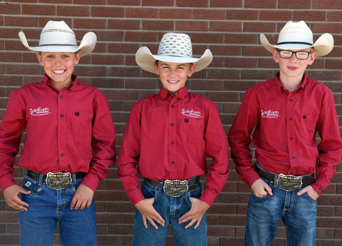 Stampede WEB