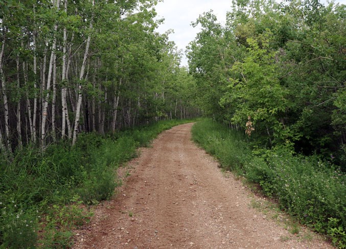 Trail Policy
