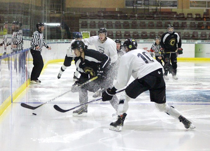 Pontiacs003web
