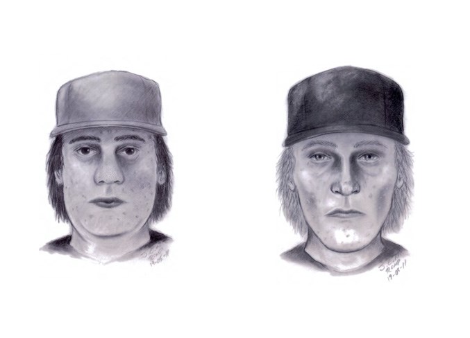 Sexual Assault suspects