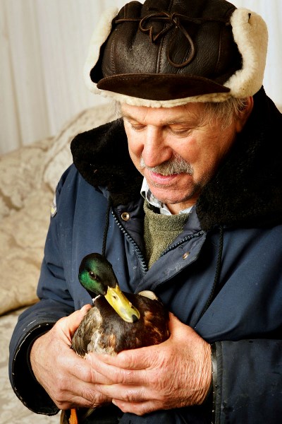 Vilna-area farmer George Werenka is seen here with a mallard duck he rescued from the winter weather.