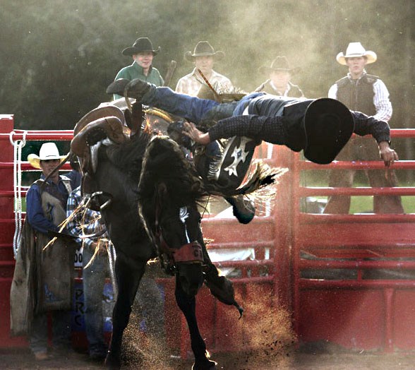 A saddle bronc rider makes an unscheduled dismount at Glendon&#8217;s Roughstock Rodeo on Saturday.
