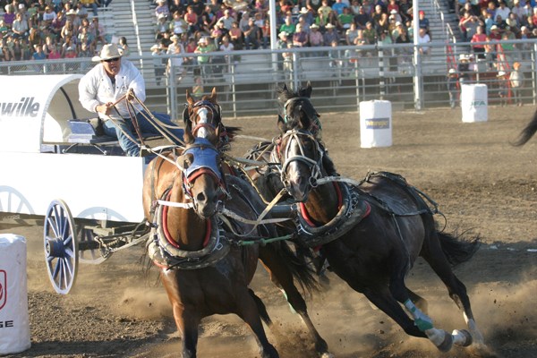 A chuckwagon churns up dust as it turns around a barrel while the crowd looks on, Friday night of the Bonnyville World Professional Chuckwagon Races.