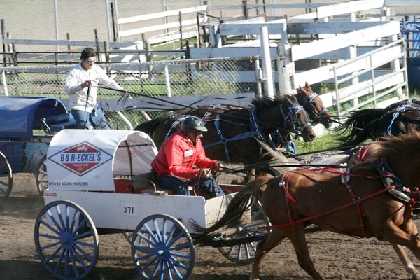 Louis Johner passes the finish line first in the third heat of the All Pro Chuckwagon finals in Saddle Lake on Sunday. Johner took fourth in chariot aggregate time.