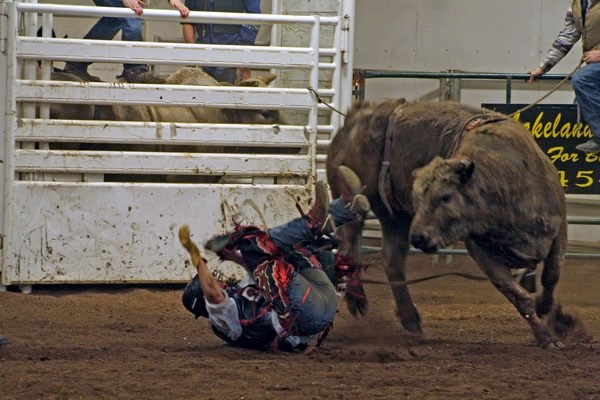 A cowboy rides one of the 30 rank bulls present for the Bull-a-rama competition at the St. Paul Ag. Corral last Saturday evening in front of nearly 500 spectators.