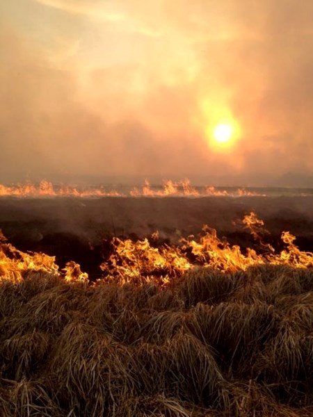 The out-of-control fire raging northwest of Bonnyville can be seen here. Fire crews have been combating the blaze since Sunday evening, when it started.