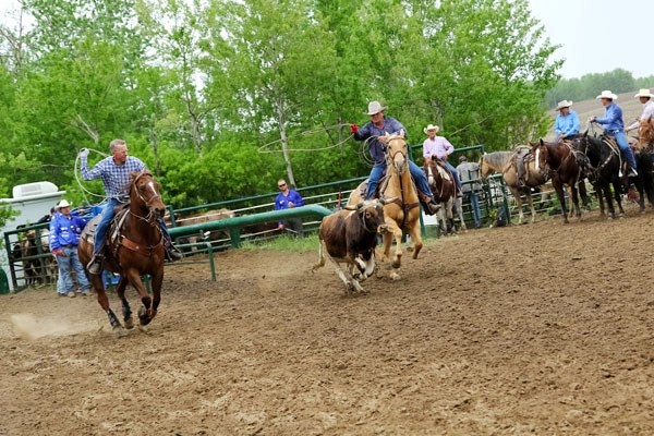 Alf Harbin and Marty Stapleton were two of the men competing in the LDL Benefit Team Roping event, held in the Boscombe area this past weekend.