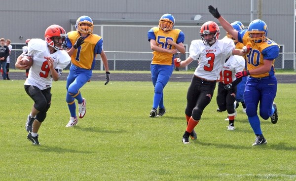 Bengals quarterback scrambles against the Spruce Grove Bombers at the final spring jamboree in St. Paul last weekend.