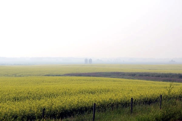 Smoke filled the air on Friday as forest fires burned in northern parts of the province.