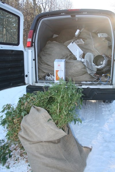 RCMP seized about 1,800 marijuana plants at a farm property north of the Town of St. Paul on Jan. 3. Charges are pending against two people.