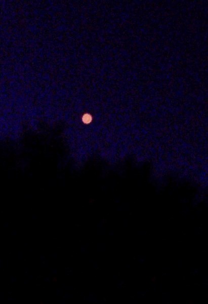 This image, pulled from a video shot by Peter Horse, depicts what witnesses believe to be a flying saucer over the skies of Frog Lake on June 28. The video shows the circular 