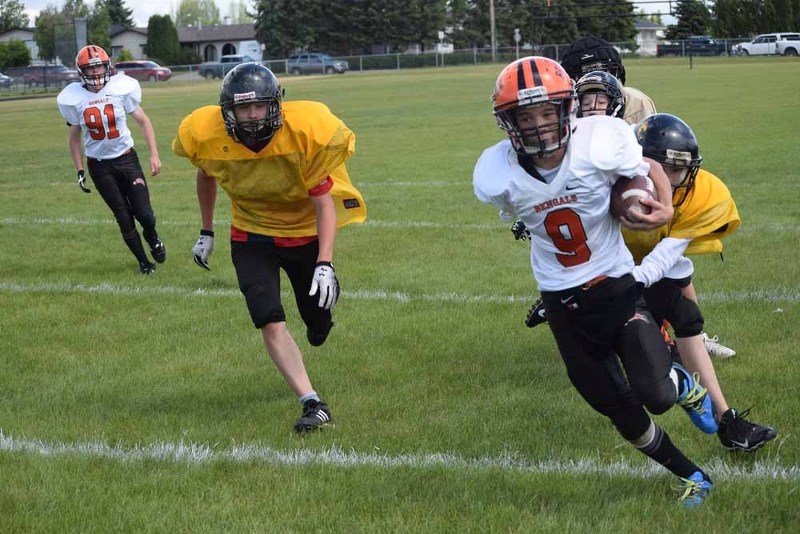 The Bengals (white jersey) make a running play against Cold Lake during a football jamboree over the weekend.