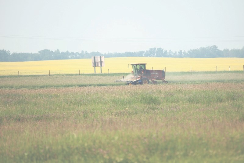 Many area farmers have experienced a dry 2015.