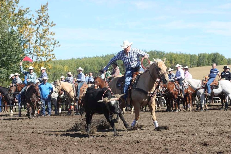 Gord Zeigler from Vermilion was among the competitors taking part in a memorial team roping event, near Boscombe Sept. 12.