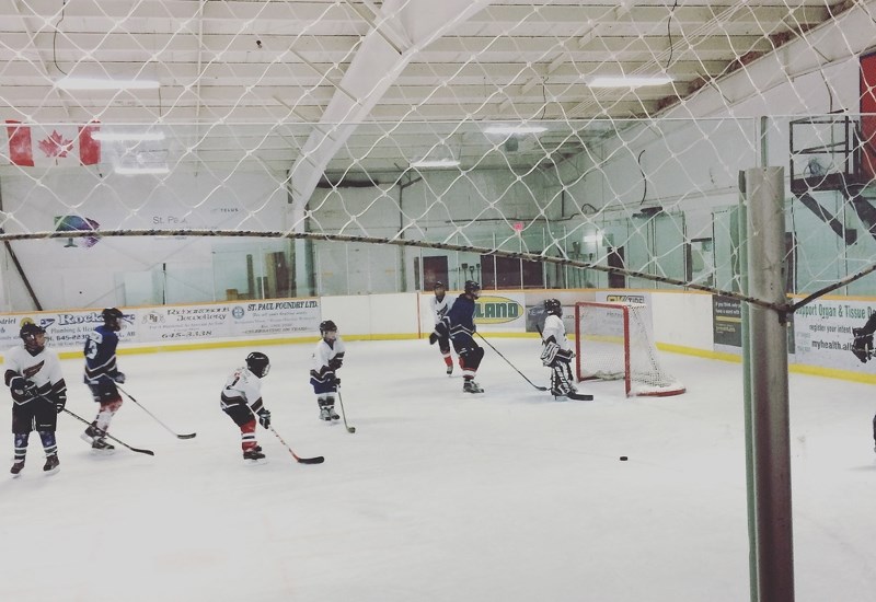 The CAP Arena, seen here, is constantly busy, and is in need of renovations, the most pressing of which is a new roof.