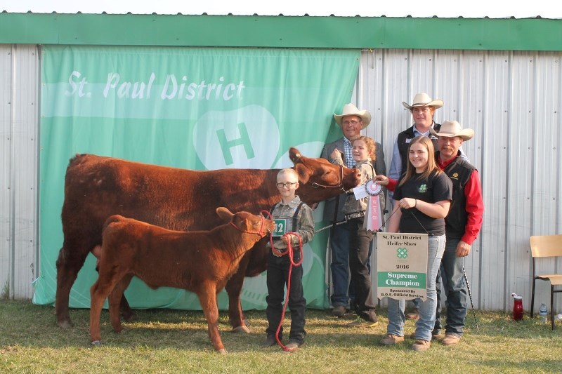 Brooke Dechaine proudly shows her Supreme Champion Female at the St. Paul District Heifer Shwo, with Dawson Dechaine displaying the two-year-old&#8217;s calf as Stephanie