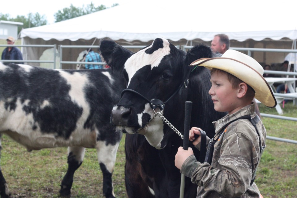 Boscombe 4-H Junior Karson Hebert was one of the members showing their hard work in the beef project during the club&#8217;s Achievement Day, held last Friday. For more