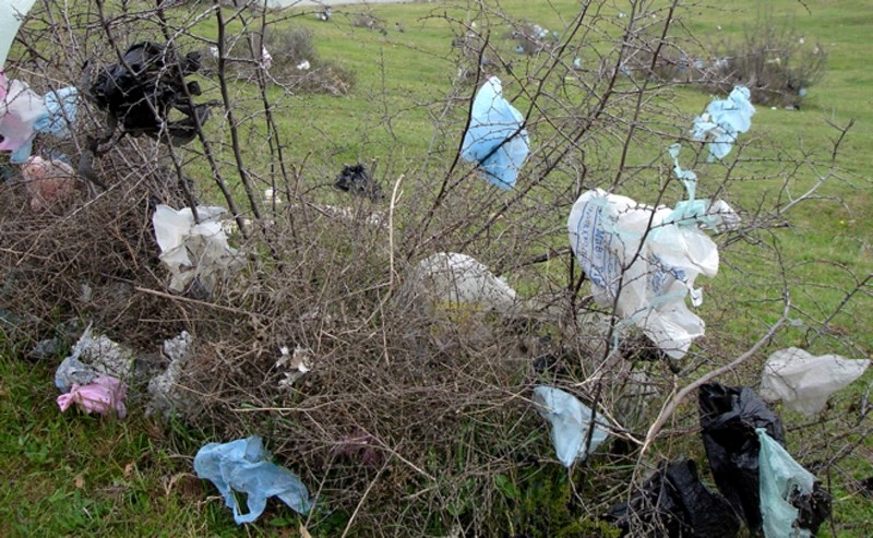 Not only do plastic bags take hundreds of years to break down, they can litter everything from parks to landfills as the wind carries them far, notes Coun. Ken Kwiatkowski,