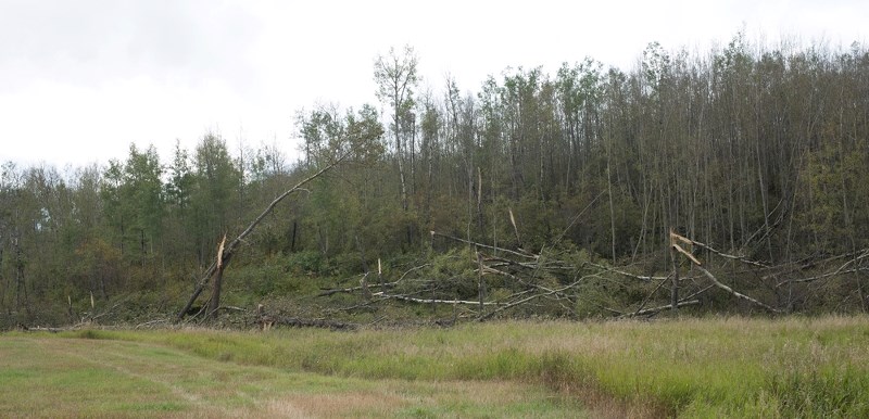 Trees were uprooted, fences were damaged and debris was everywhere at a home on Armistice Road in the aftermath of a Sept. 2 storm.