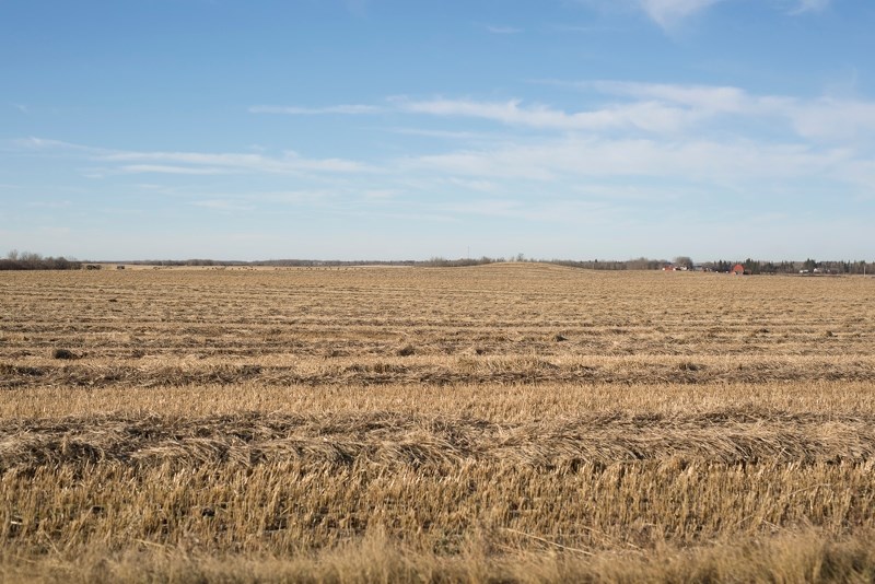 Despite being mid-November, many crops are still sitting in the field, as a result of unusually wet fall weather.