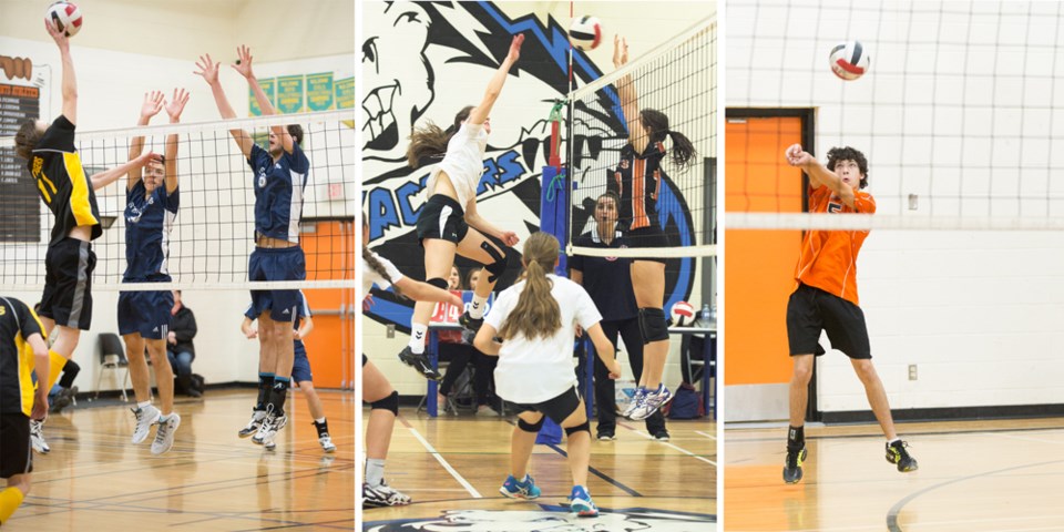 High school teams from across the St. Paul Athletics Association gathered in St. Paul to take part in volleyball championships, last week. St. Paul Regional and Mallaig split 