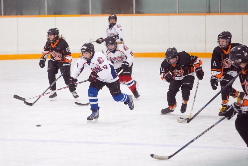 St. Paul, Mallaig, Elk Point and Vermilion pond hockey teams hit the ice on March 18 at the AG Ross Arena to take part in a pond hockey tournament. Pictured is St. Paul 1