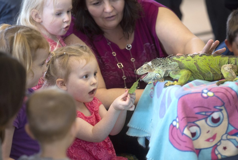 Hadley Weinmeier feeds a lizard during the Zoo 2 U event, held last Wednesday at the Reunion Station. The event brought in some exotic animals for children who registered