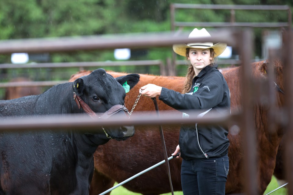 Brooke Corbiere was one of the St. Lina 4-H members that took part in a rainy Achievement Day last Friday. This week&#8217;s St. Paul Journal has coverage of several local